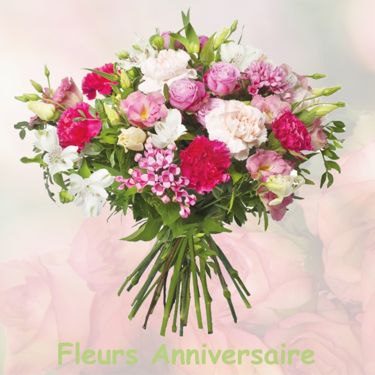 fleurs anniversaire FRAUSSEILLES